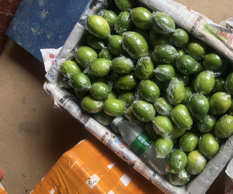 香水柠檬