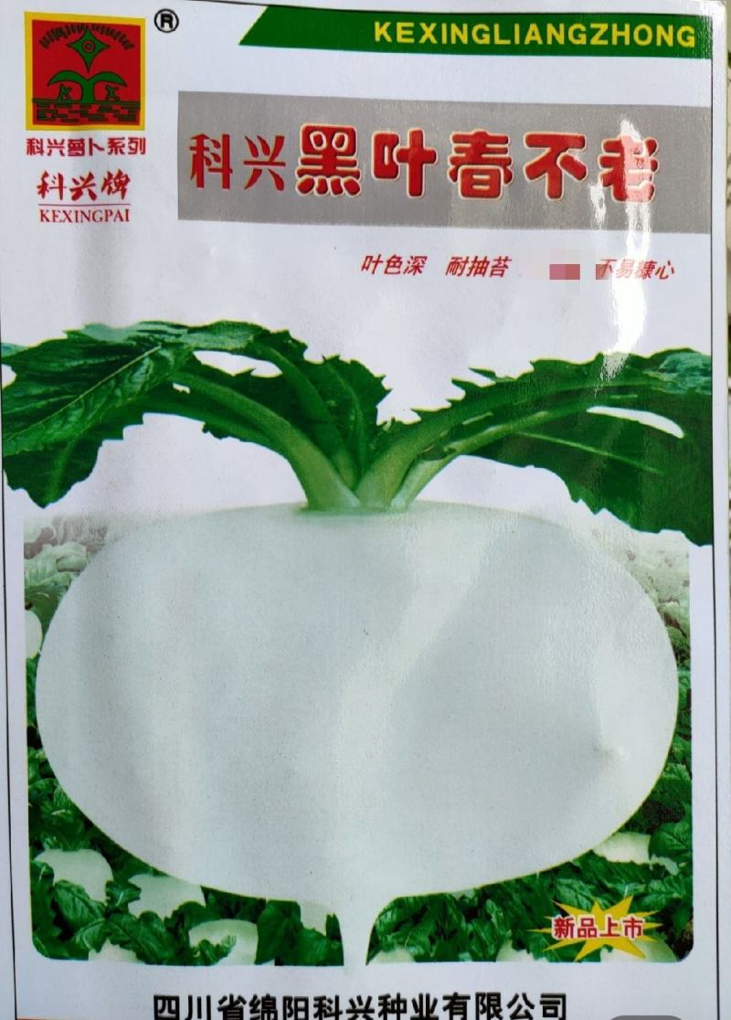 耐寒耐抽苔黑叶春不老萝卜种子黑叶圆白萝卜种子