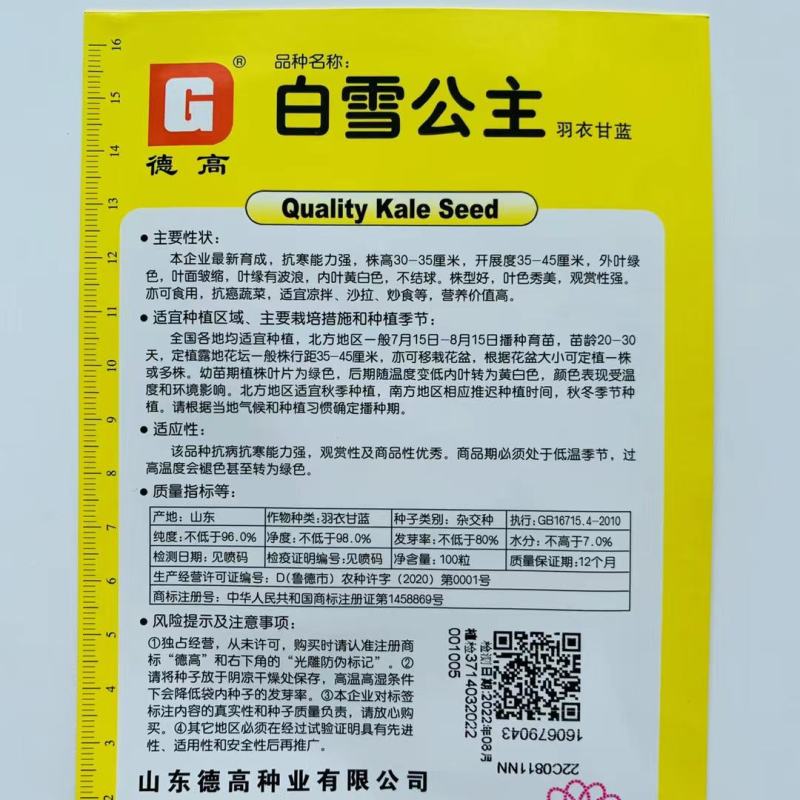 羽衣甘蓝种子羽叶甘蓝种子阳台盆栽大田易种四季可播耐寒蔬菜