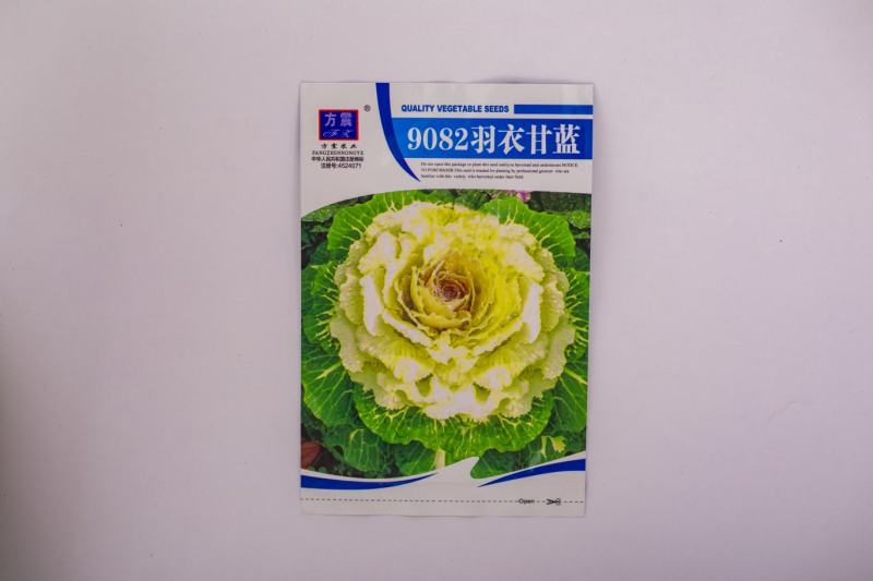 羽衣甘蓝种子羽叶甘蓝种子阳台盆栽大田易种四季可播耐寒蔬菜