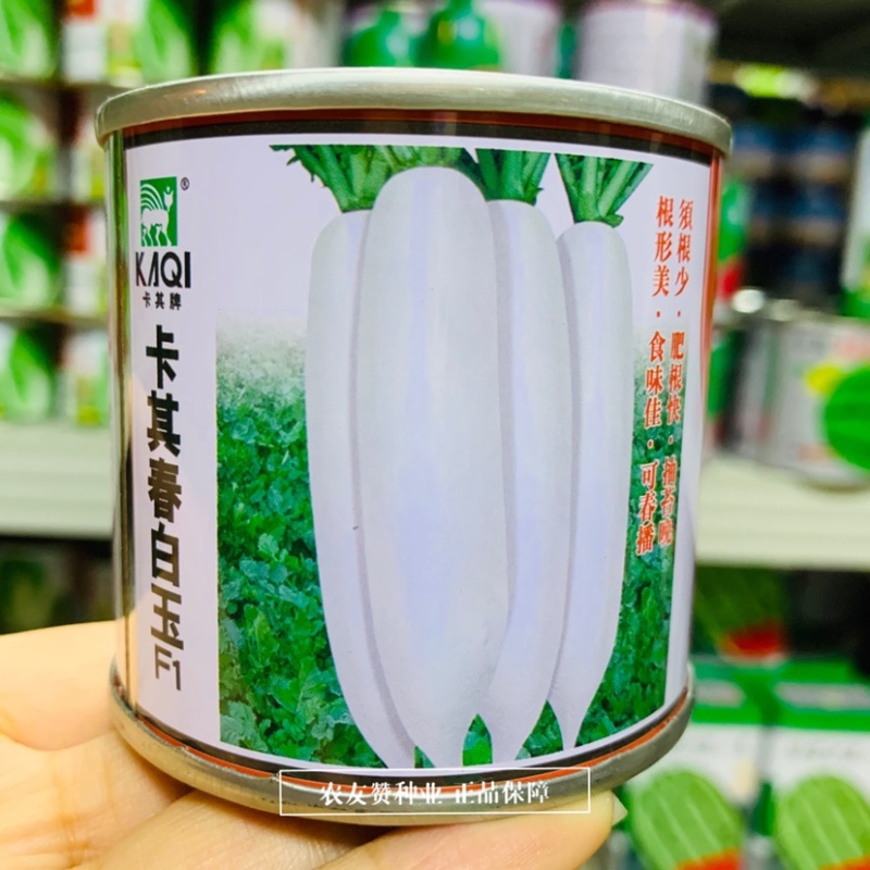 卡其春白玉萝卜种子须根少根形美春秋播抽苔晚白萝卜种子