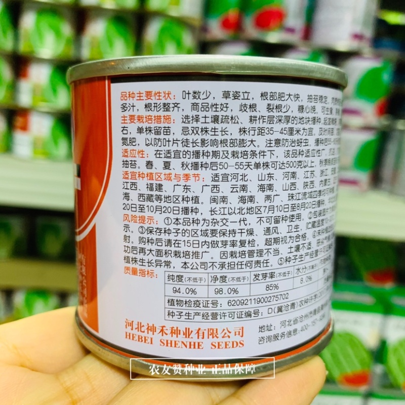 卡其春白玉萝卜种子须根少根形美春秋播抽苔晚白萝卜种子