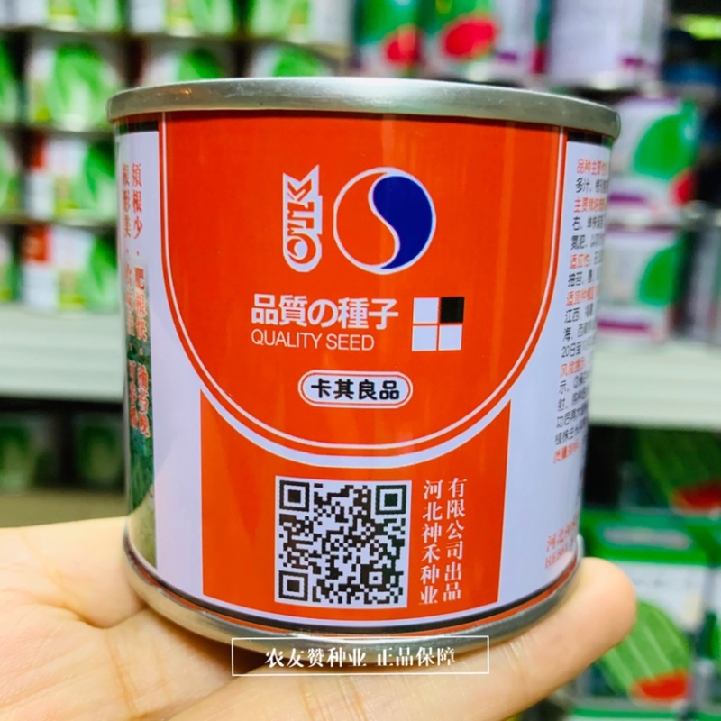 卡其春白玉萝卜种子须根少根形美春秋播抽苔晚白萝卜种子