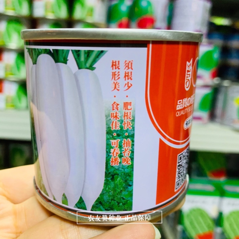卡其春白玉萝卜种子须根少根形美春秋播抽苔晚白萝卜种子