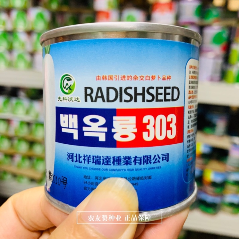 一代杂交白萝卜种子由韩国引进的杂交长白萝卜品种抗病