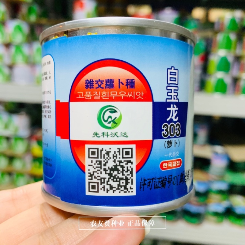 一代杂交白萝卜种子由韩国引进的杂交长白萝卜品种抗病
