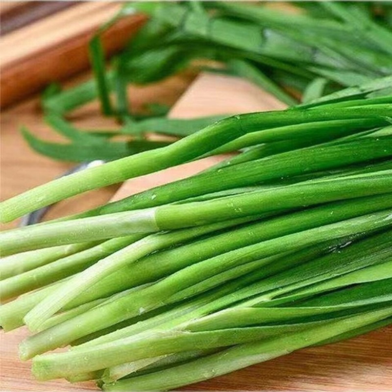 韭菜大量上市，现割现发，货源充足，欢迎采购
