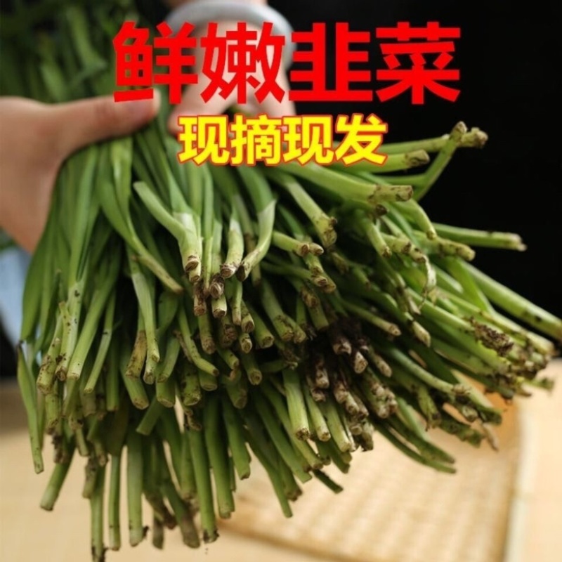 韭菜大量上市，现割现发，货源充足，欢迎采购