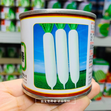 精品天鸿春白萝卜种子条形好耐抽苔春秋兼用杂交一代春白玉