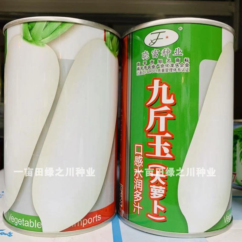 晓富九斤玉大萝卜种子白萝卜种子大根中晚熟品种茸毛少