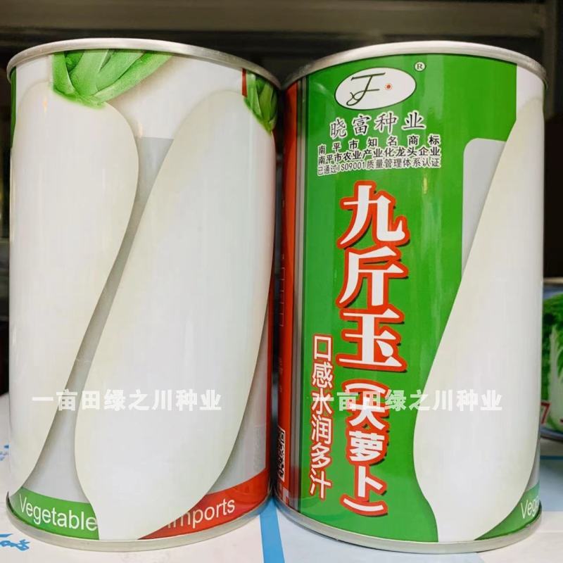 晓富九斤玉大萝卜种子白萝卜种子大根中晚熟品种茸毛少
