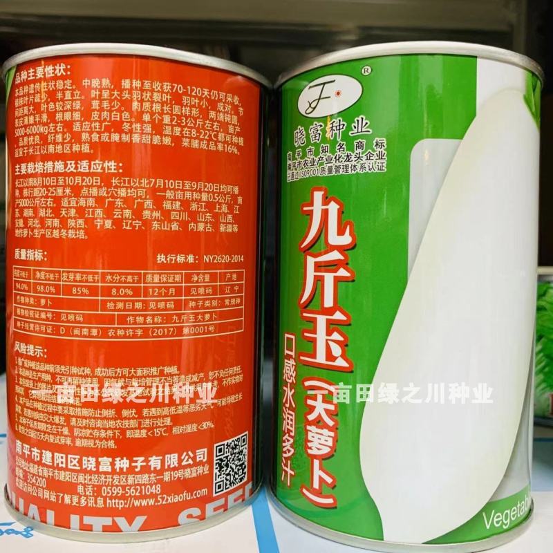 晓富九斤玉大萝卜种子白萝卜种子大根中晚熟品种茸毛少
