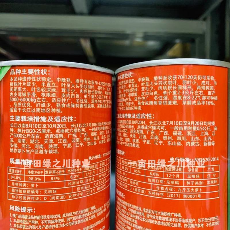 晓富九斤玉大萝卜种子白萝卜种子大根中晚熟品种茸毛少