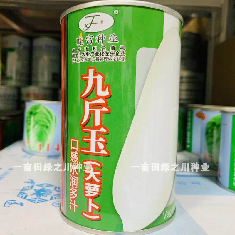 晓富九斤玉大萝卜种子白萝卜种子大根中晚熟品种茸毛少