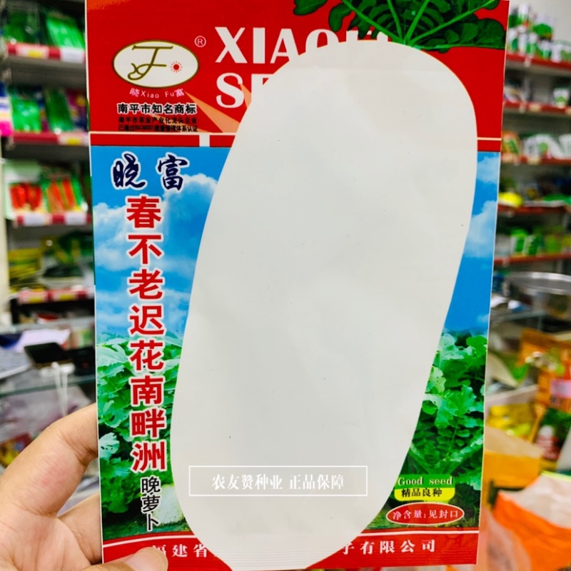 精选良种晓富春不老迟花南畔洲白萝卜种子晚萝卜种子