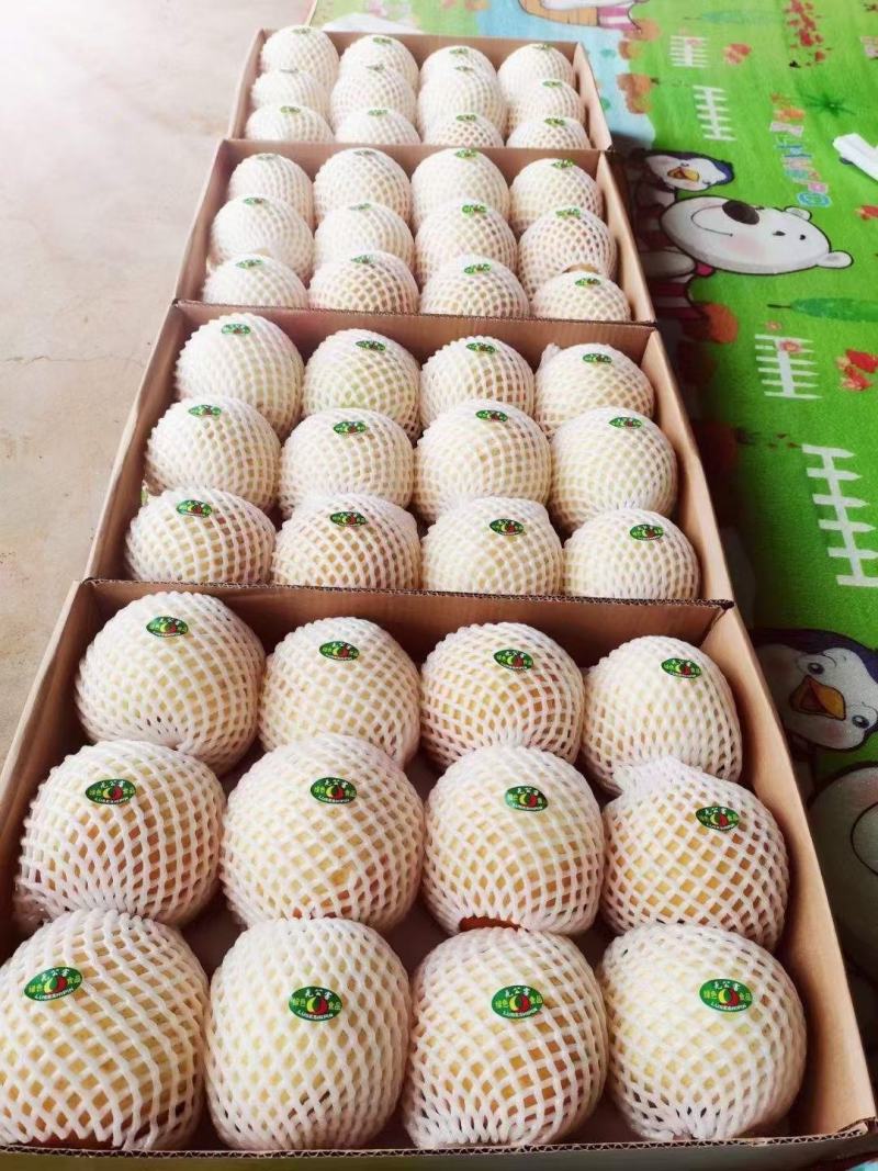 黄金梨大量上市了