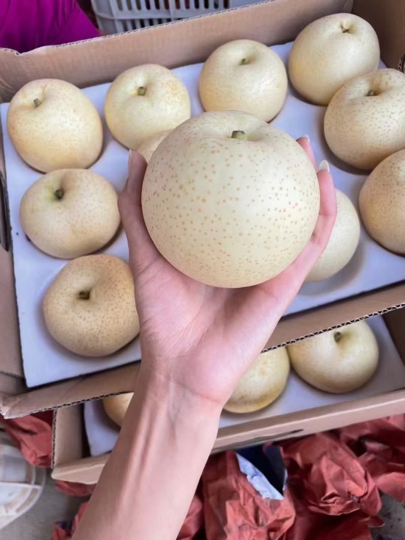 黄金梨大量上市了