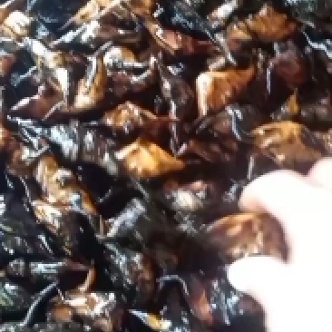 脱皮凌角