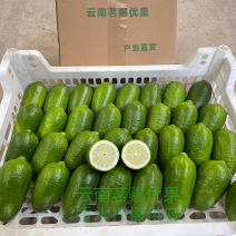 现货子弹头香水柠檬一级果精品商超供应标准