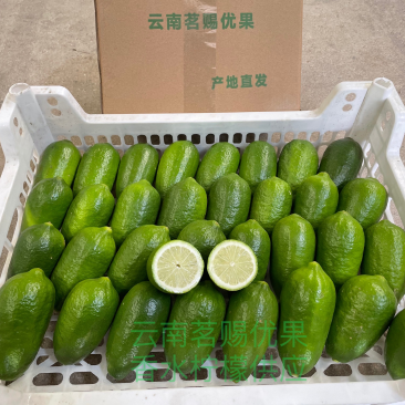 现货子弹头香水柠檬一级果精品商超供应标准