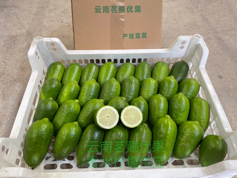 现货子弹头香水柠檬一级果精品商超供应标准