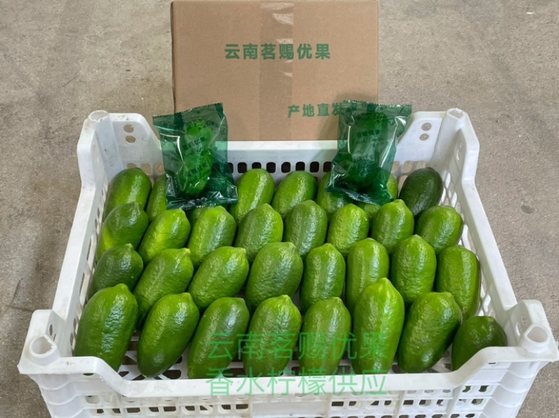 现货子弹头香水柠檬一级果精品商超供应标准