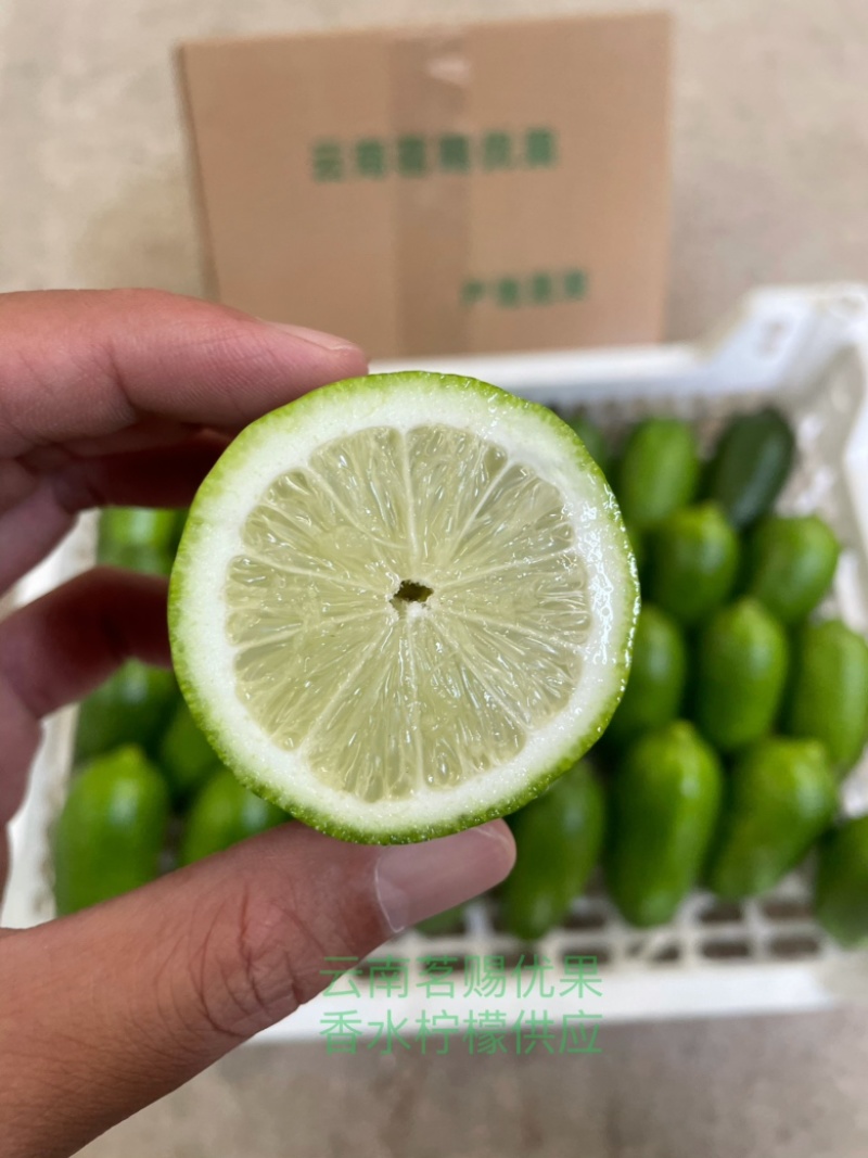 现货子弹头香水柠檬一级果精品商超供应标准