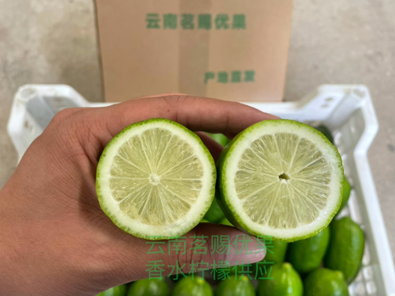 现货子弹头香水柠檬一级果精品商超供应标准