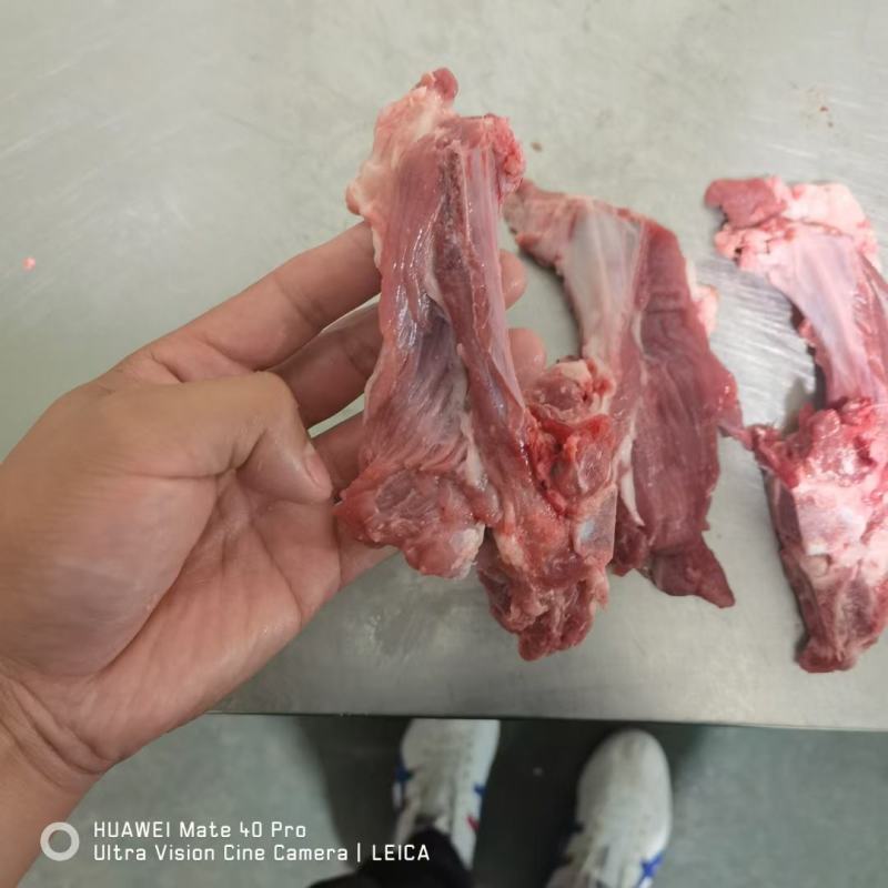 羔羊寸骨羊蝎子鲜货冷冻发货常年供应，可以对接全国