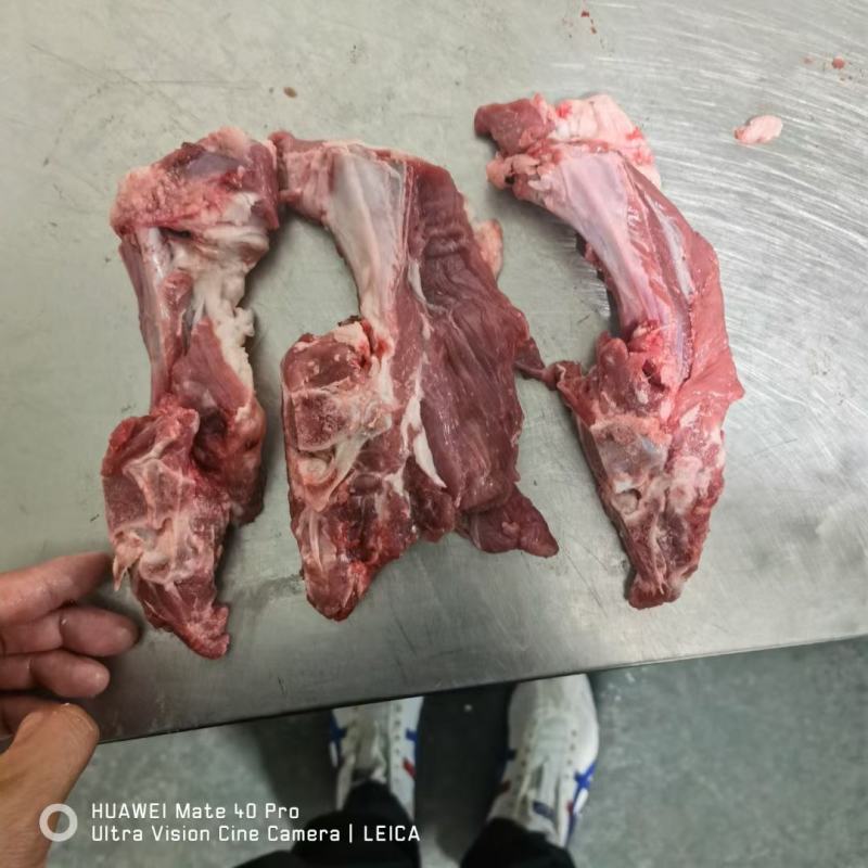 羔羊寸骨羊蝎子鲜货冷冻发货常年供应，可以对接全国