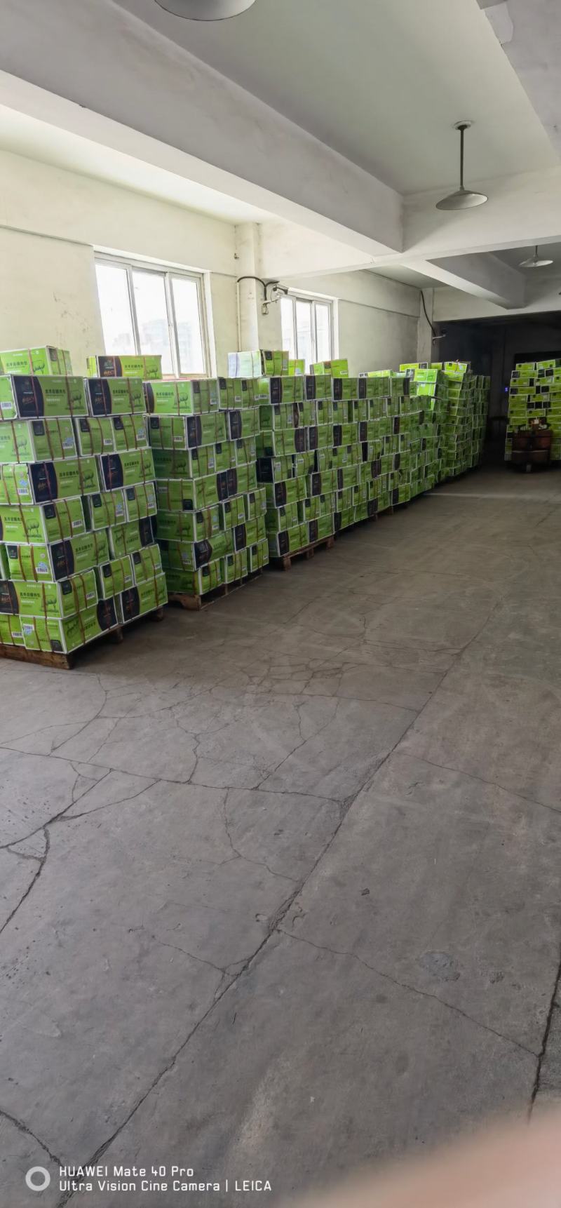 羔羊寸骨羊蝎子鲜货冷冻发货常年供应，可以对接全国