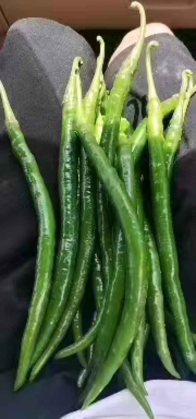 二荆条大量上市，需要的老板联系。价格美丽
