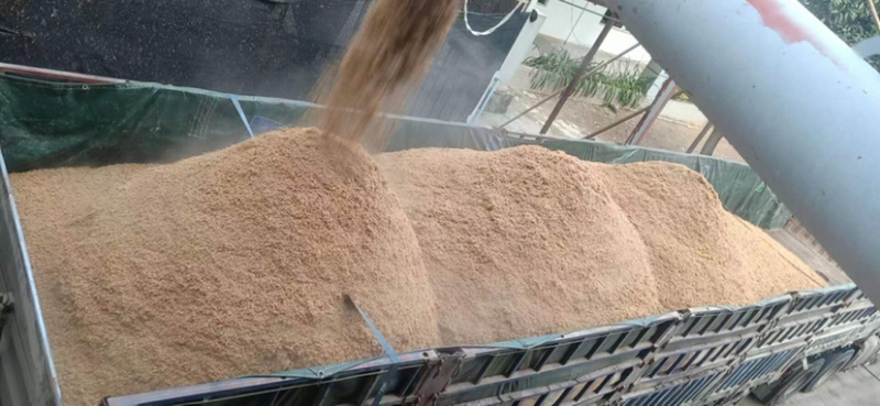 大量新鲜啤酒糟，肉多水分小营养高，养鸡鸭鱼牛猪等优选