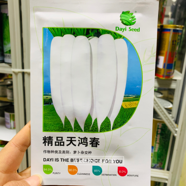 抗病高产耐抽苔白萝卜种子精品天鸿春白萝卜种籽不易糠心