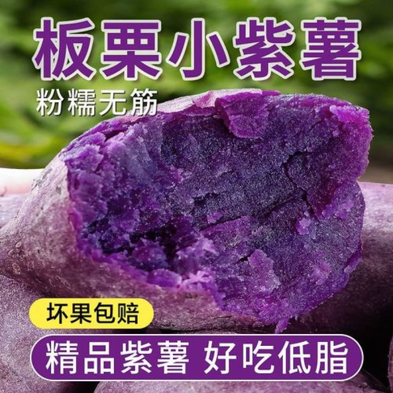 红薯紫罗兰紫薯粉糯香甜品种齐全一件代发电商15年