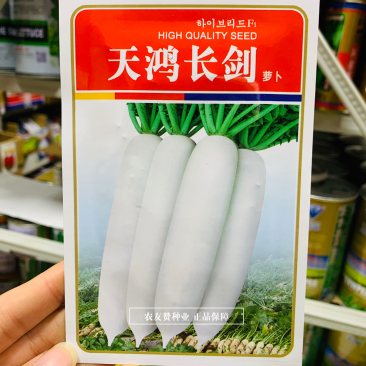 天鸿长剑白萝卜种子抗病耐抽苔,不易糠心基地用白萝卜种子