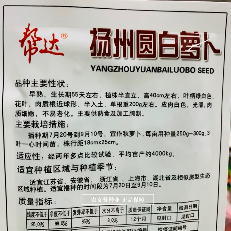 扬州圆白萝卜种子大田用种早熟皮肉白色光滑不易老化