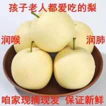 黄冠梨果肉洁白，松脆多汁，果形周正，风味酸甜适口
