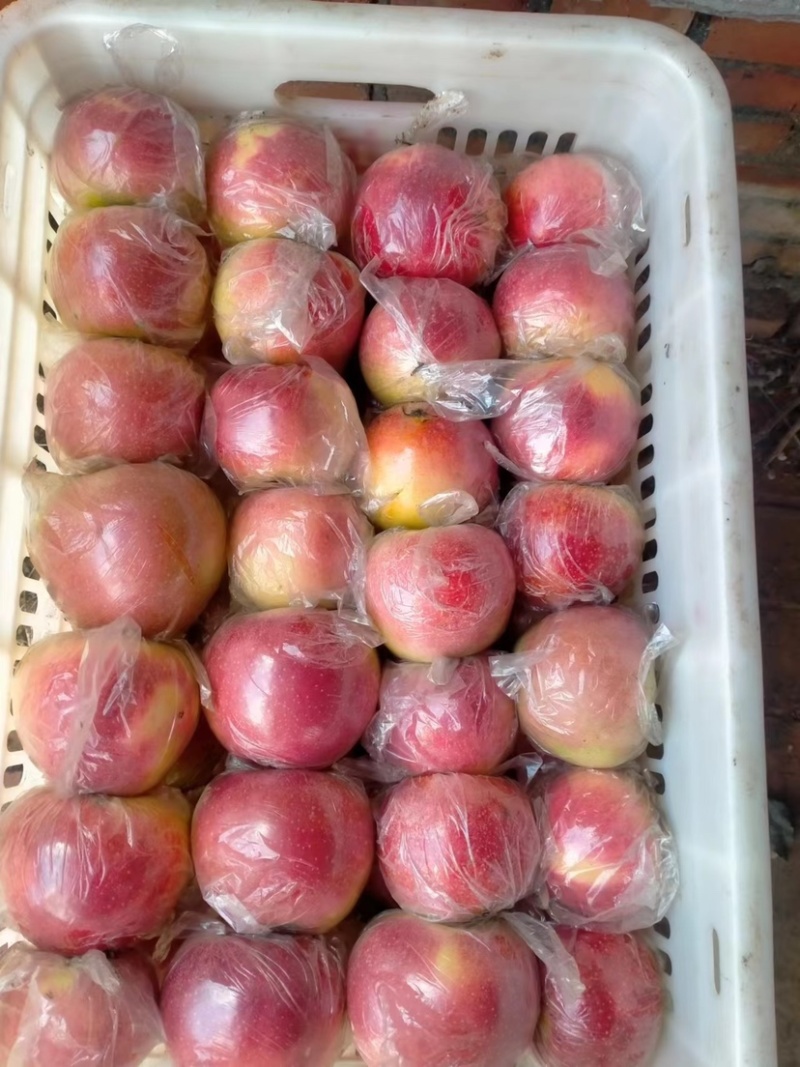 中秋王苹果，颜色好，口感脆甜，大众口味。