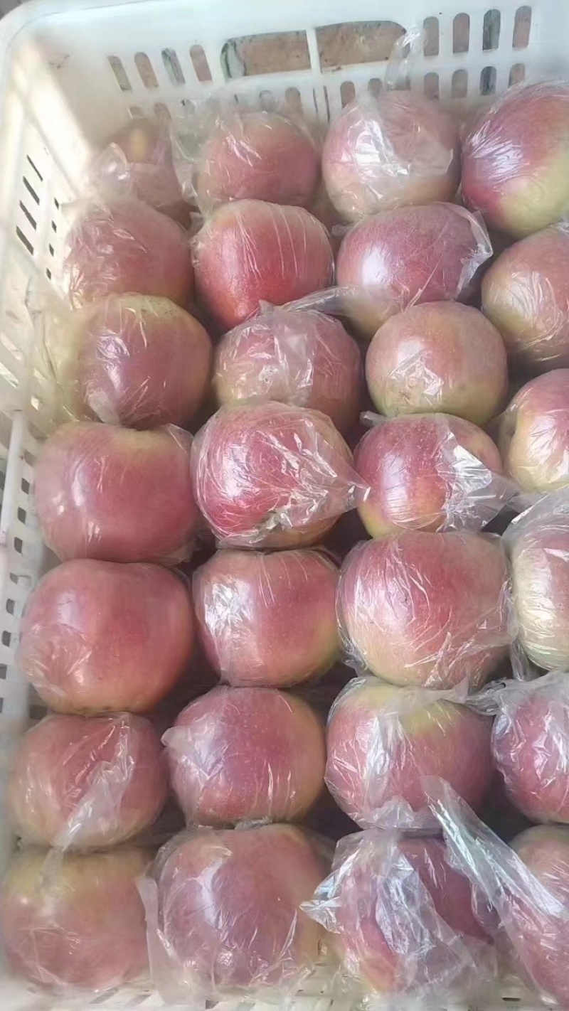中秋王苹果，颜色好，口感脆甜，大众口味。