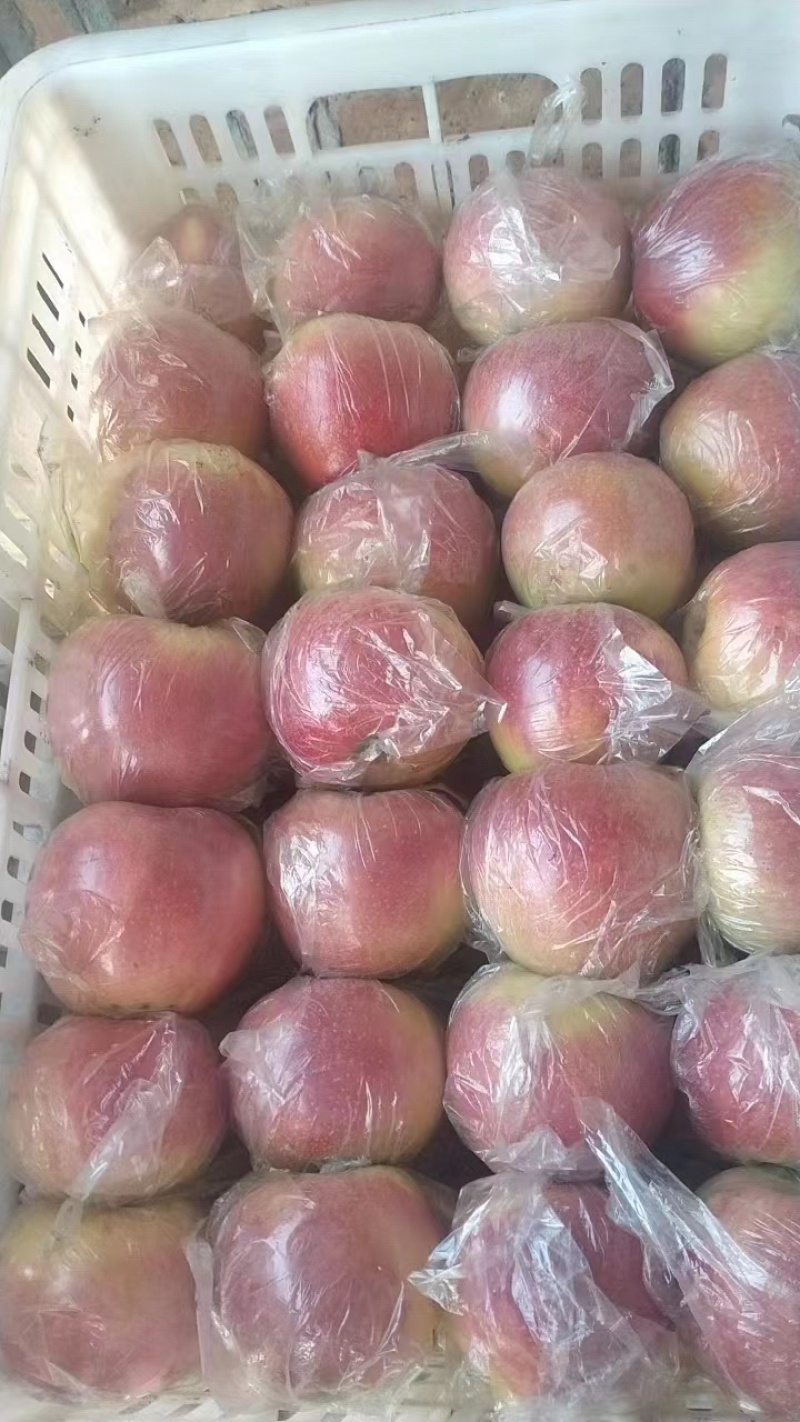 中秋王苹果，颜色好，口感脆甜，大众口味。