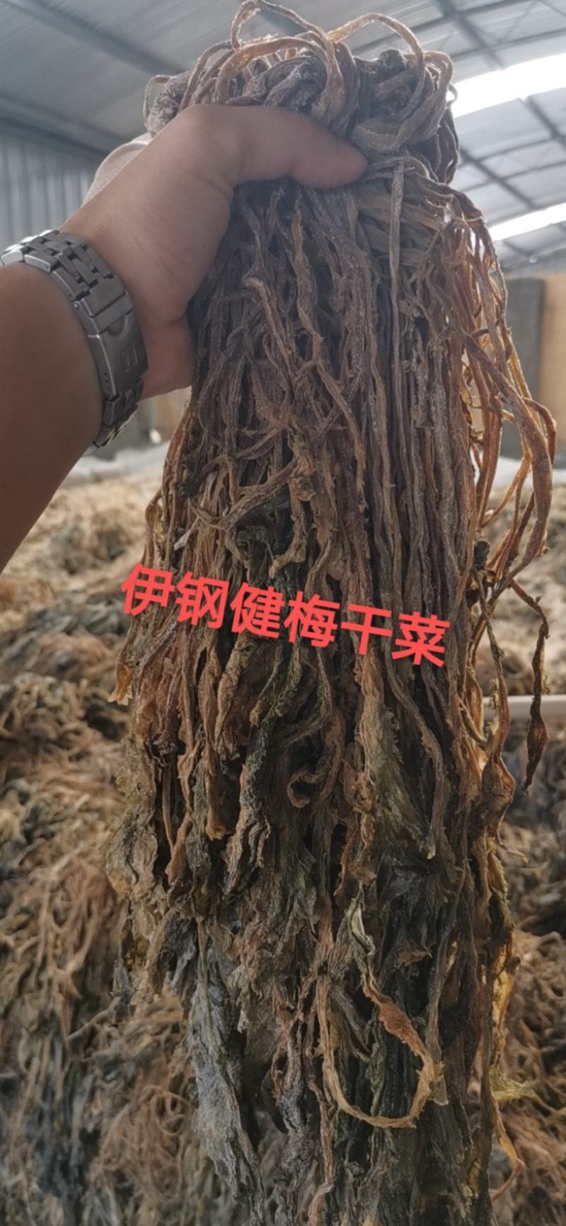 【牛商精选】伊钢健优质整棵梅干菜，全年有货，量大从优。