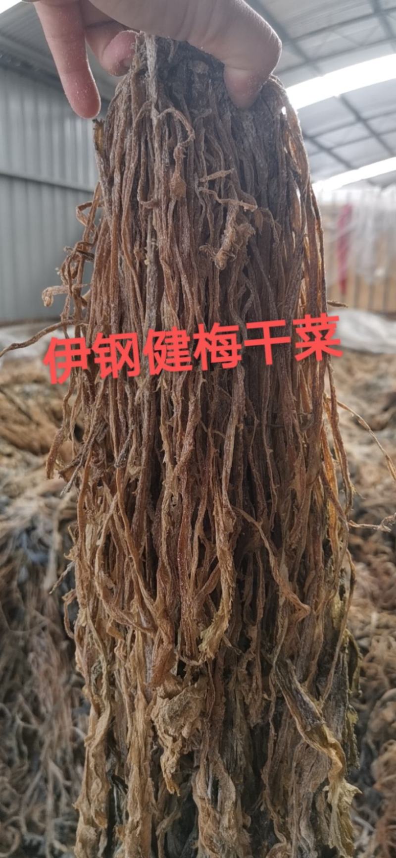 【牛商精选】伊钢健优质整棵梅干菜，全年有货，量大从优。