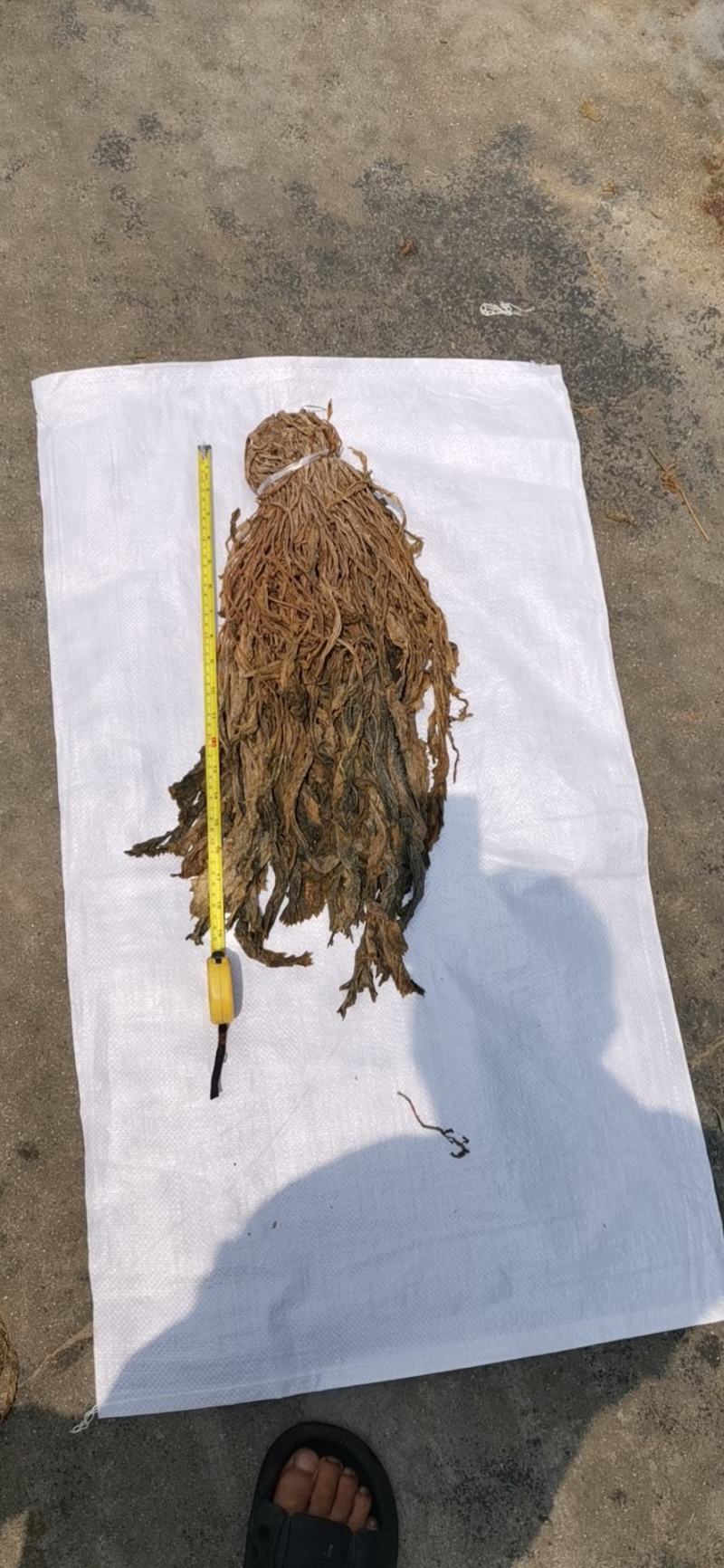 【牛商精选】伊钢健优质整棵梅干菜，全年有货，量大从优。
