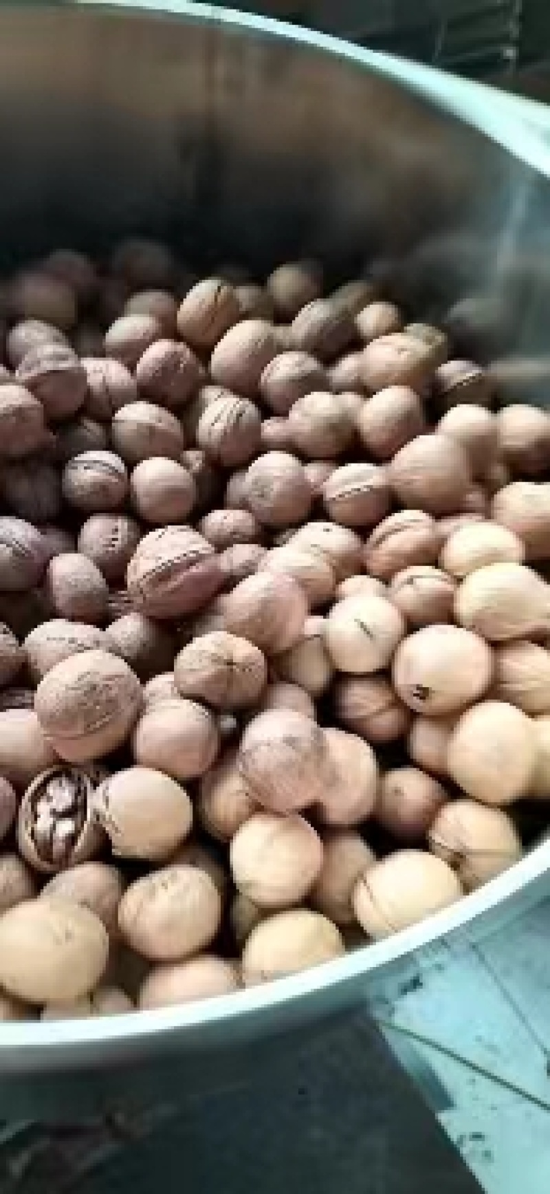 核桃，新疆枣，新疆灰枣，