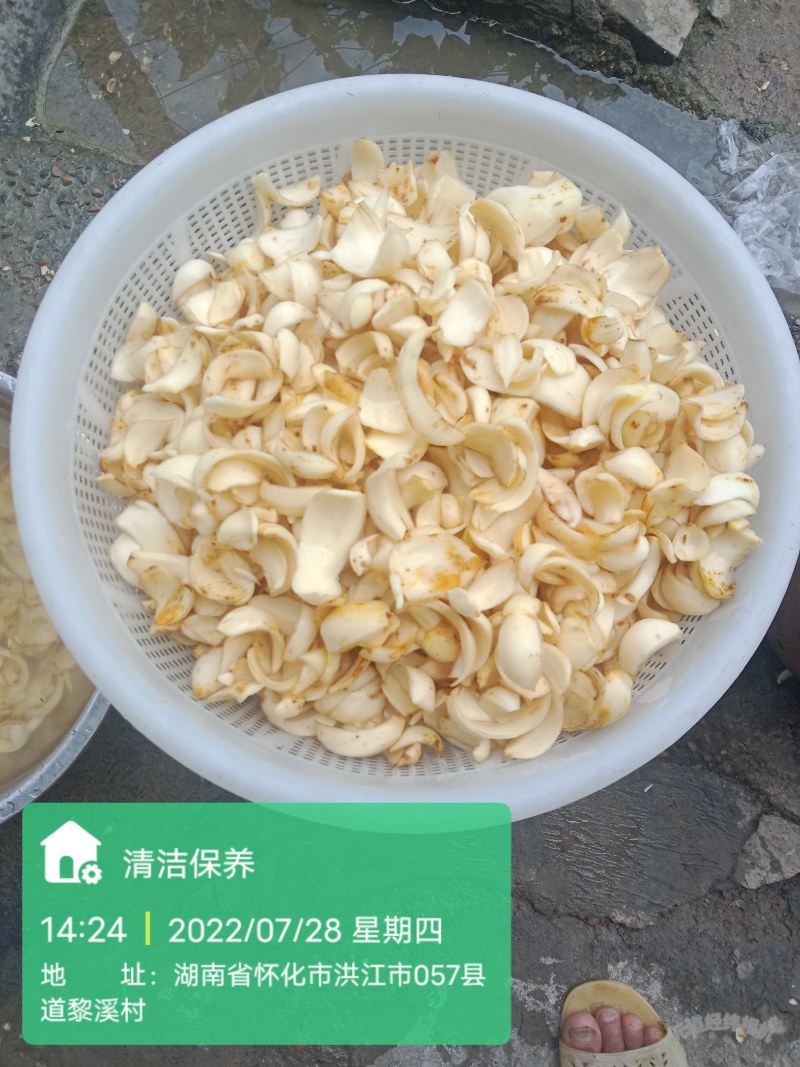 原产地，长期实力供龙芽甜百合干片，质优价廉，营养价值高！