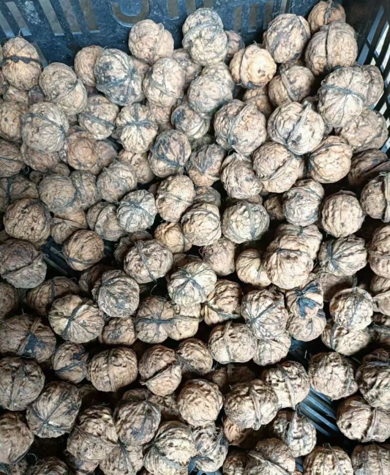 云南紫核桃新鲜