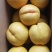黄油桃（甜口）
