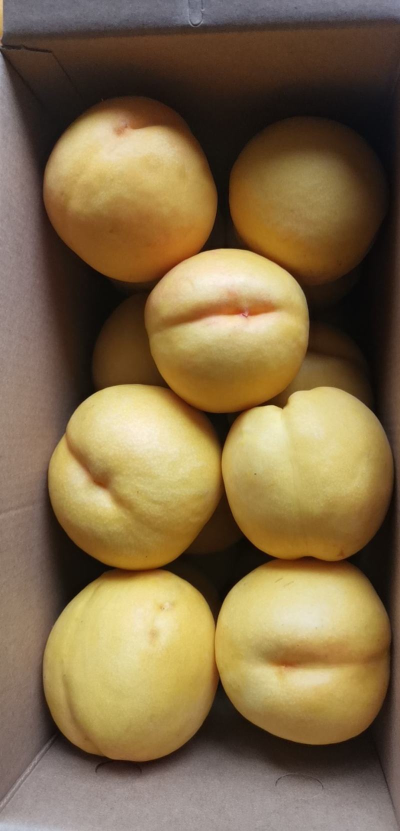 黄油桃（甜口）