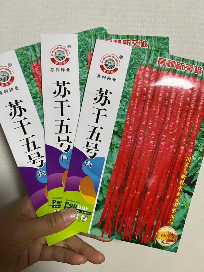 苏润苏干五号线椒种子杂交一代干鲜两用品种种子